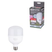 Лампа светодиодная T 30 Вт, 230 В, 4000 К, E27 (100x165 мм) TDM