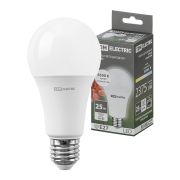 Лампа светодиодная А65 25 Вт, 230 В, 6500 К, E27 TDM