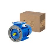 Электродвигатель АИР 71B4 3ф 0,75 кВт 1500 об/мин 2081 TDM