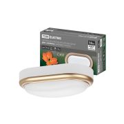 Светильник накладной LED ДПО «Антарес» 15Вт 6500К овал 221*131*68 мм мат.золото IP54 TDM